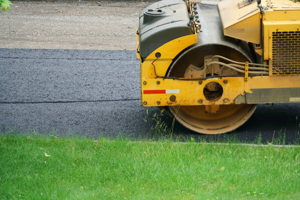 Best Driveway Repair and Patching  in Chenoa, IL